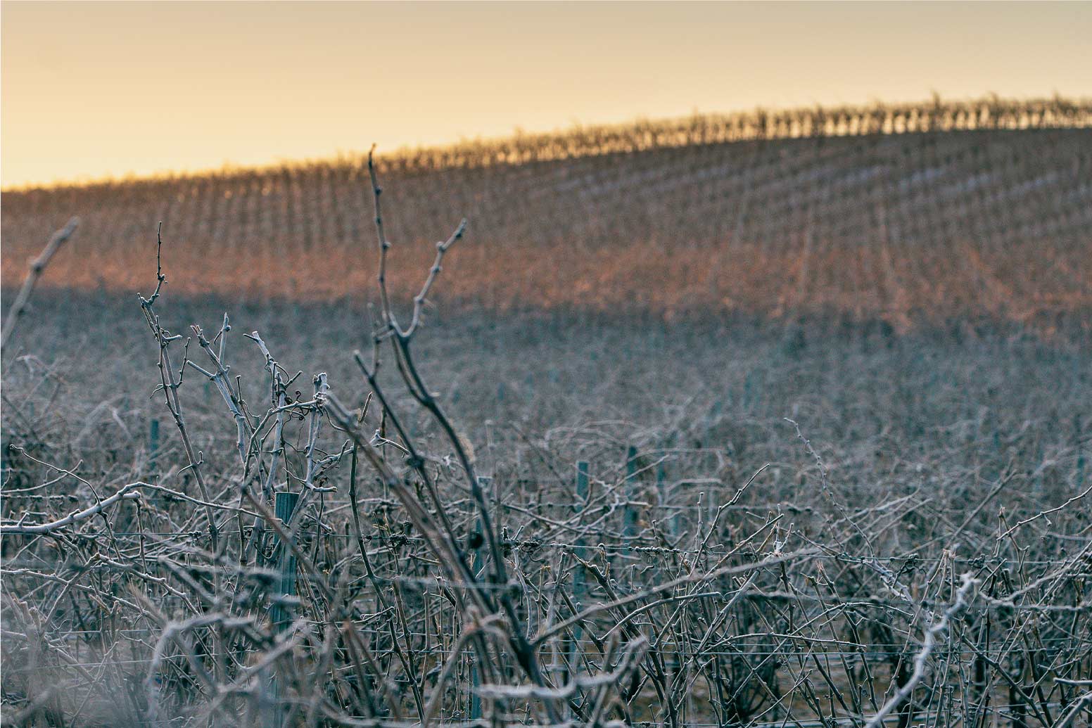 Bodega-JFernando-Rueda-1