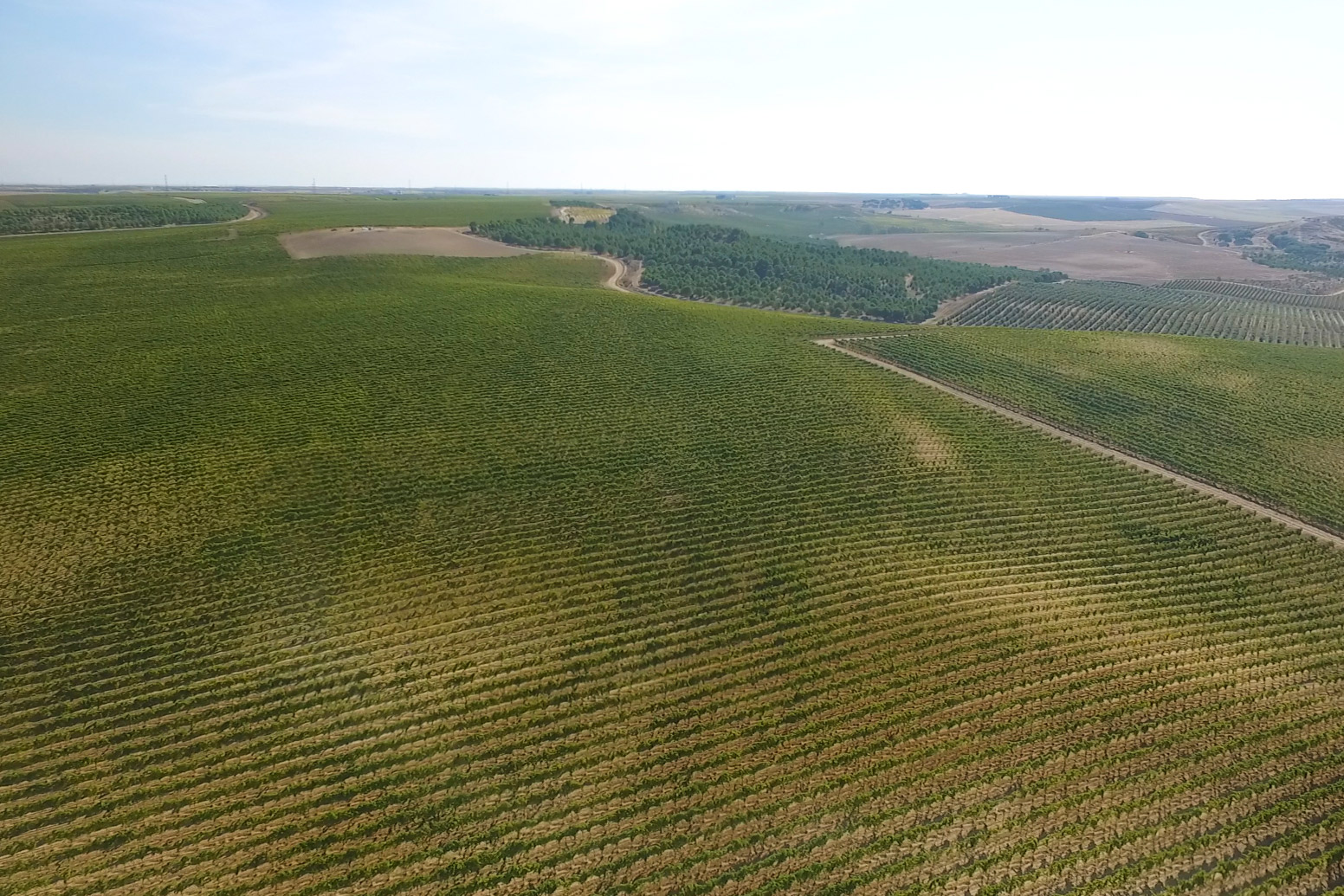 Bodega-JFernando-Rueda-3