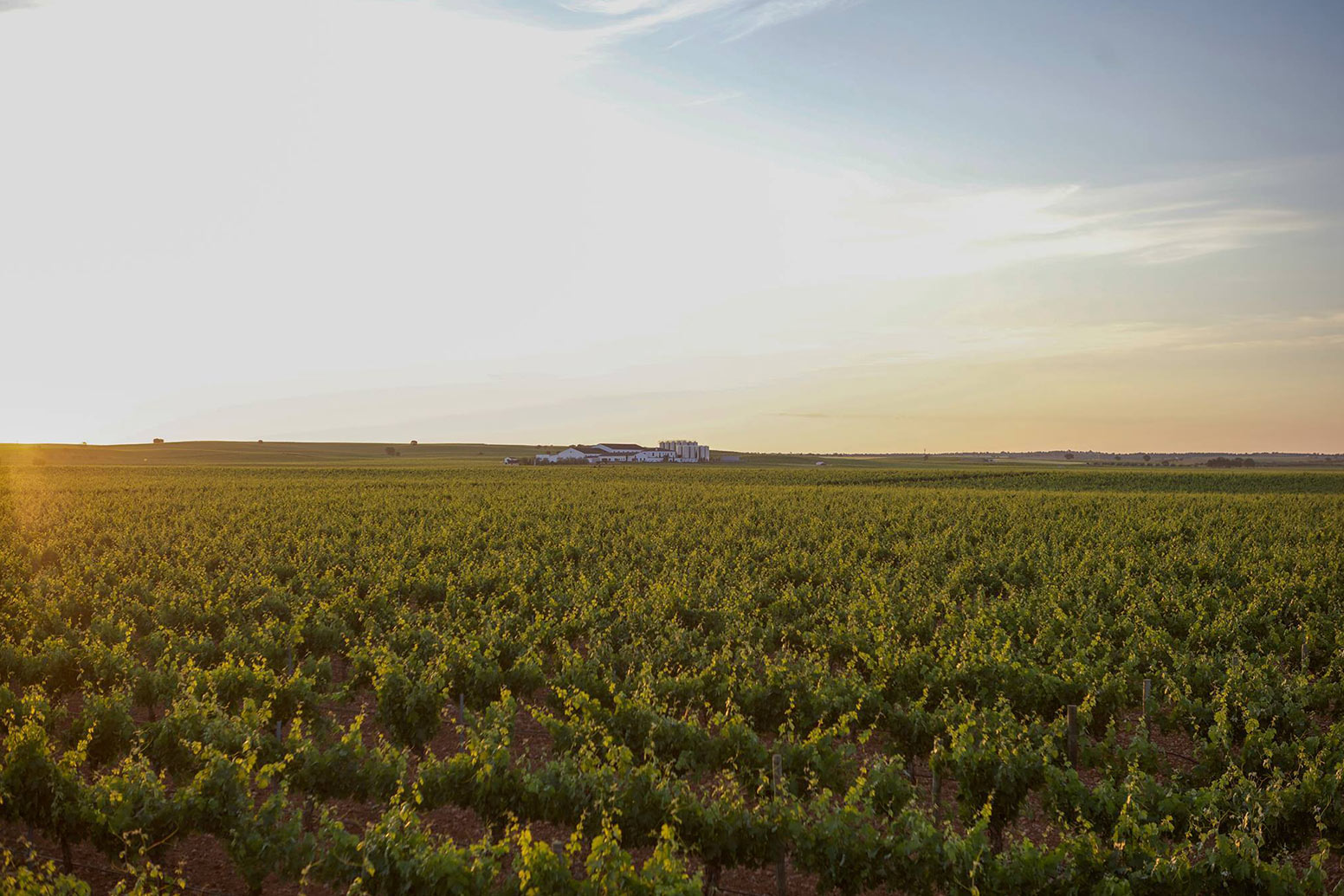 Finca-Venta-de-Don-Quijote-3