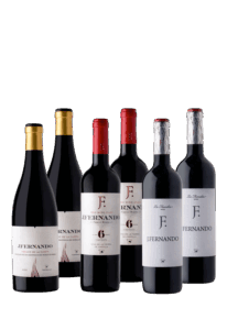 Pack J. Fernando Tintos